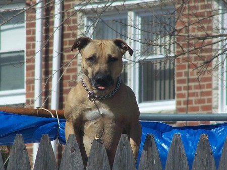 How long did you say I had to stay outside?