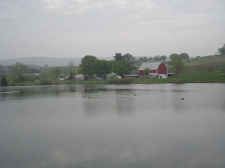 Main Barn across the lake