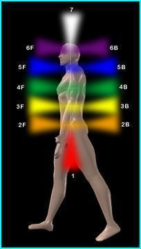 learning how the body radiates energy