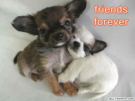 Friends forever