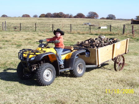 RYAN HAULING WOOD