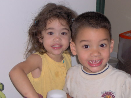 My grandkids (twins)