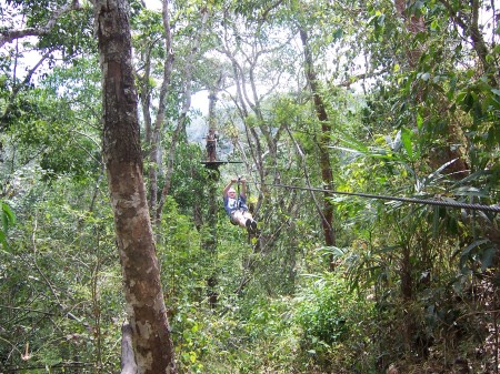 Jungle Canopy Tour Puerto Vallarta MX