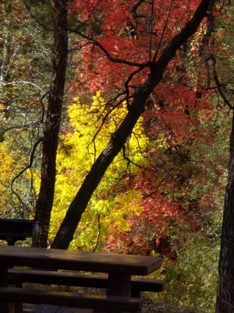 Christopher Creek in the fall