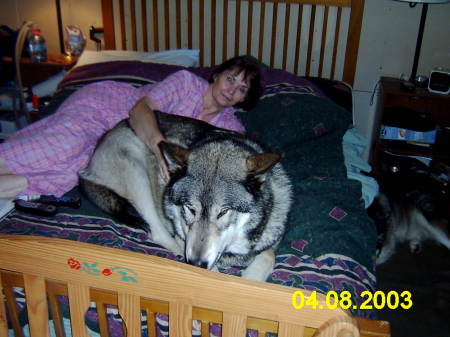 Doesn't everyone sleep with a wolf?