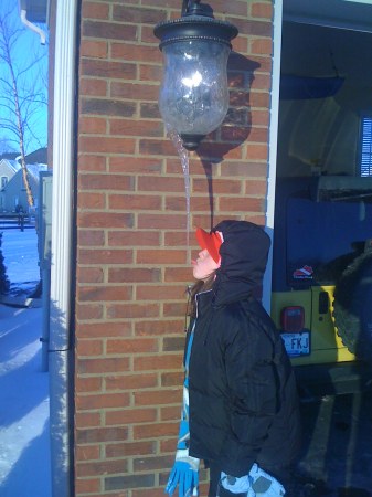 'Coley' licking an icicle