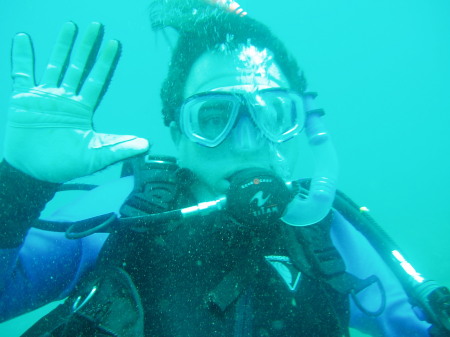 Scuba Diving at the Great Barrier Reef