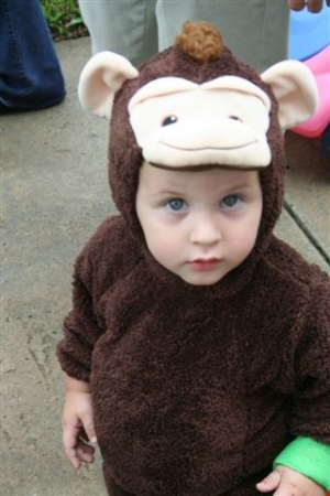 my monkey