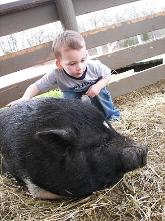 Arbuckle, Oklahoma Zoo