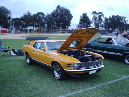 Savanna Car Show 2006 my 1970 Mach 1