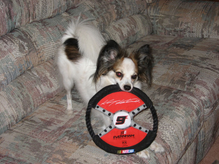 Rufus is a Kasey fan too!