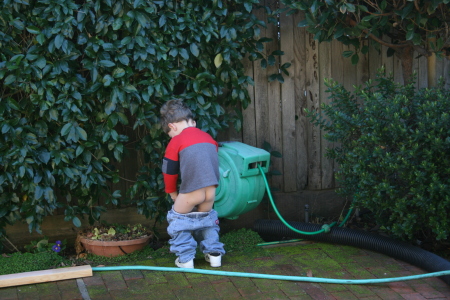 Larry Jr. Watering the Plants!