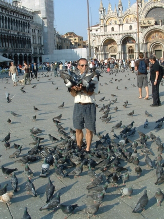 Birds in St. Marc Square in Venice