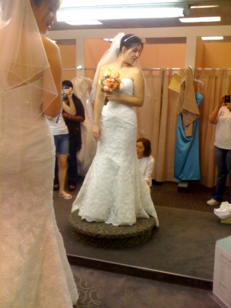 Stephanie's Wedding Dress