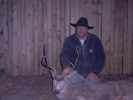 Montana Mule Deer