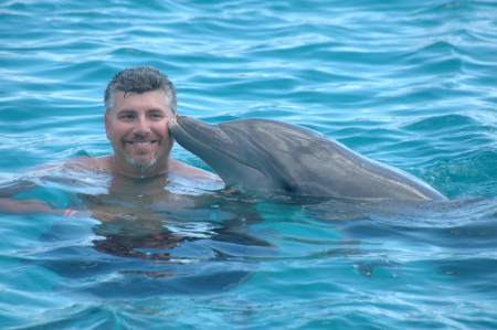 Swimming with the Dolphins