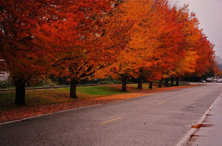 Issaquah Wa.,...late fall