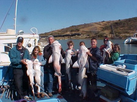 Seven Gill Shark caught by Bay Bridge, San Francisco