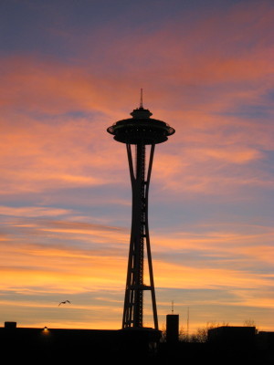 The Space Needle-  My Front Yard!