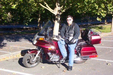 The Goldwing