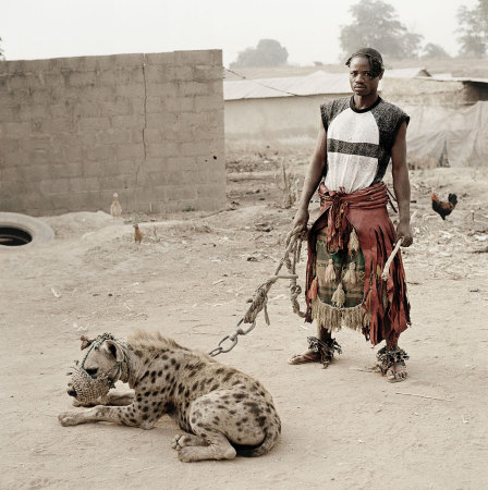 african with hyena