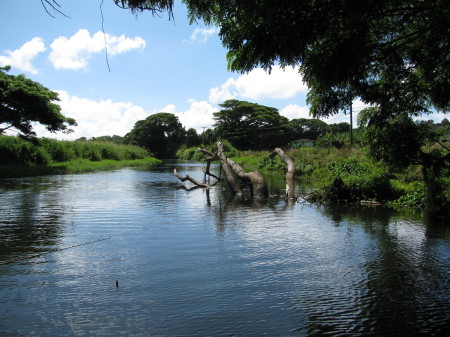 Scott Pritchett's album, Kauai