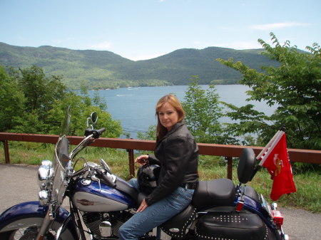 My 2006 Harley Davidson