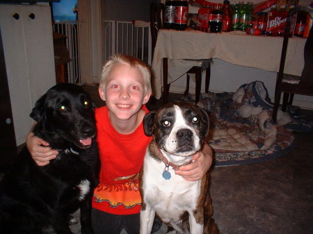 my son and our dogs