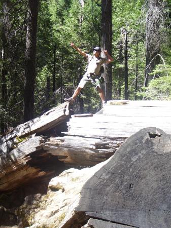 YOSEMITE NAT'L PARK