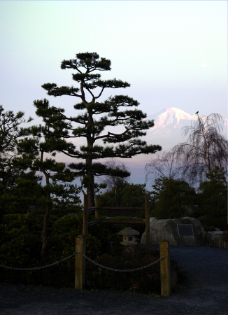 mountain from Japanese garden