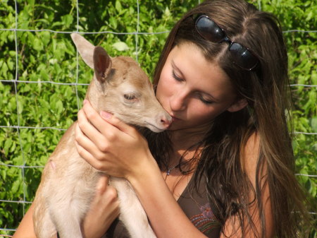 Steph and the Baby Deer