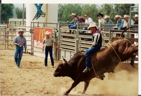 ride'n a bull