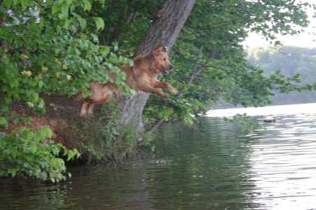 Luke Diving