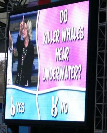 On the screen at Sea World in San Antonio, TX