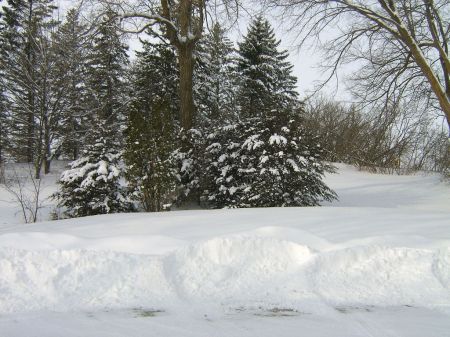 Robert Piotrowski's album, Snow in Minnesota