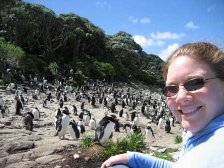 Chillin with the penguins on Snares Island