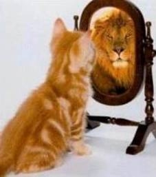 lion in mirror