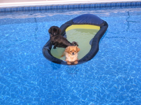 Bailey & Morgan enjoying the pool