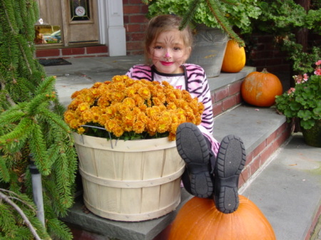 My little pumpkin 2010 !