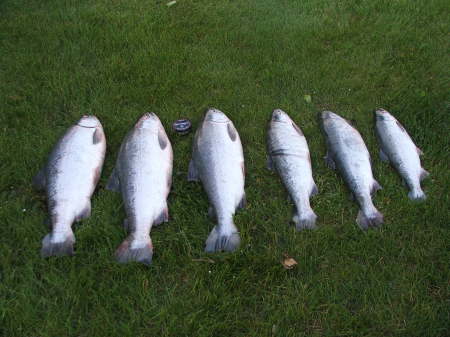 Salmon fishin in July 2007