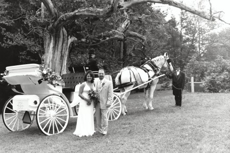 Horse and Carriage