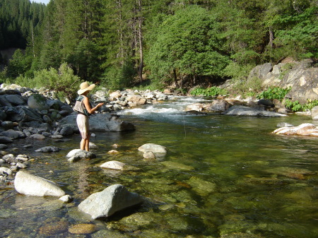 Drifting a dry fly outside of Downieville