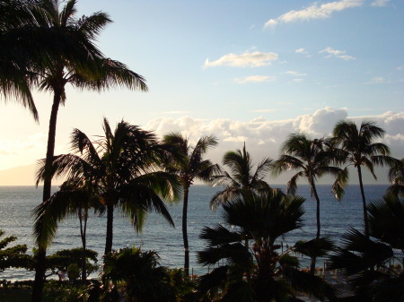 Beautiful Maui!