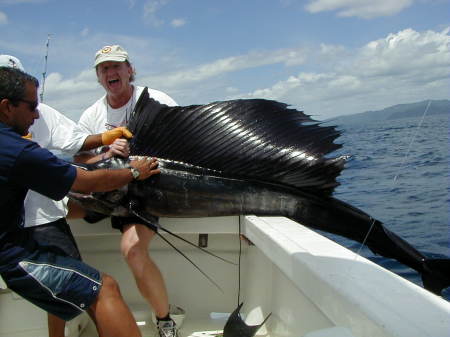 A sailfish caught in Cost Rica