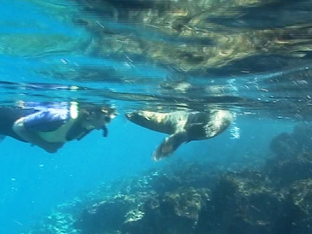 Sea Lion & Me...  Galapagos, 5/07