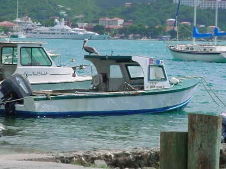 My happy place, St Thomas, USVI 2005