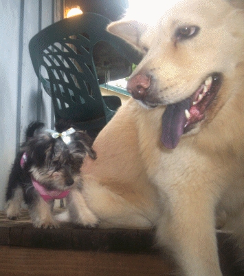 Dakota and his new little sister Lacey.