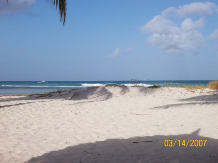 The lovely beaches of Aruba