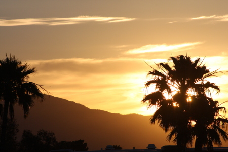 Sunrise in Tucson in May