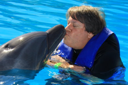 Swimming with the dolphins in Cabo San Lucas